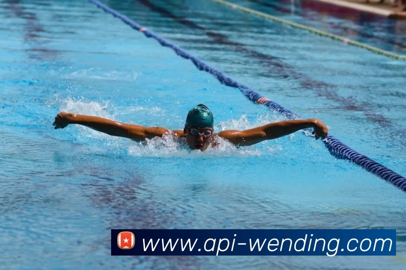 多媒体互动体验